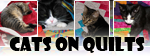 Cats On Quilts